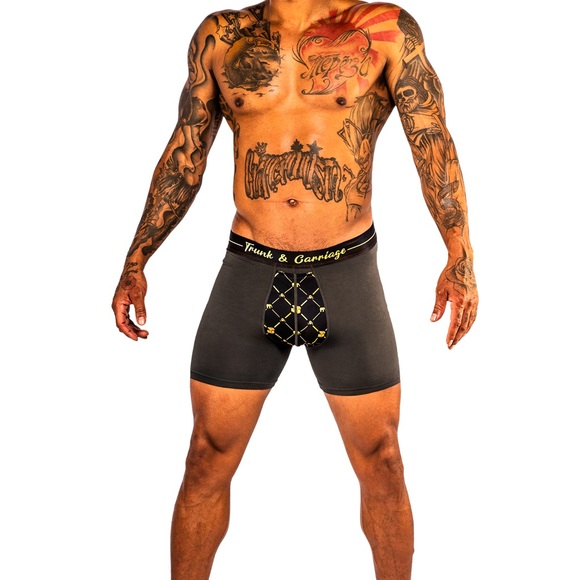 Trunk & Carriage Bamboo Boxer Briefs - Picture 4 of 4